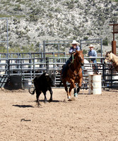 Steer Stopping ~ YCJRA Rodeo 04/13/24