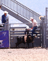 YCJRA Rodeo ~06/24/2023 Steer Riding