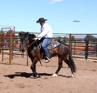 Arizona Horseman's Challenge Day #2