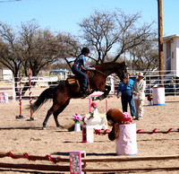J6 Ranch ~ EoH ~Working Equitation Show ~ 2/10/18