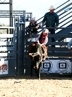 Steer Riding ~ YCJRA Rodeo 04/13/24