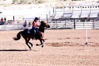 YCJRA Rodeo   ~ 06/24/2023 Pole Bending