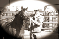 Arizona Horseman's Challenge Day #2