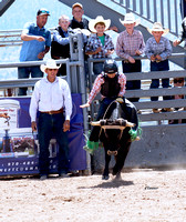 Steer Riding ~ YCJRA Rodeo  July 29, 2023