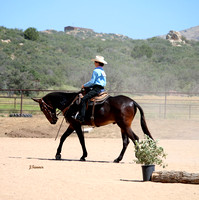 HorseBreakers Ranch Buckle Series ~ Morning Classes Ranch Riding