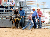 Steer Riding ~YCJRA Rodeo  August 12, 2023