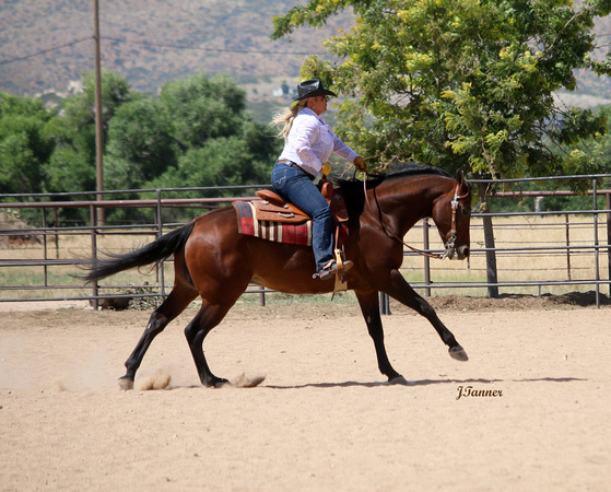 IMG_0093_7151_edited-1