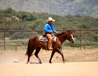 Green Horse ~ HorseBreakers Ranch Buckle Series ~ August 12