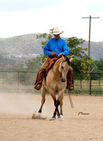 Open Rider ~ Ranch Buckle Series