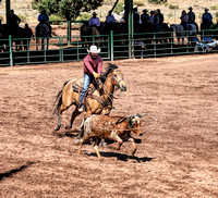 Roping @ Linden Valley Arena ~ Show Low, AZ ~ May 30, 2021