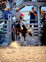 Steer Riding ~ YCJRA Rodeo September 16, 2023