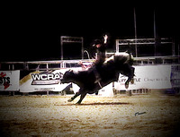 Bull Riding ~ Fort Verde Day Rodeo