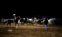 Wild Horse Race ~ Fort Verde Day Rodeo