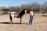 The Art of Liberty Horsemanship ~ 01/30/24 TLC Sanctuary Cornville, AZ