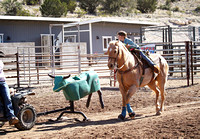 Sled Dummy Steer Stopping YCJRA Rodeo ~ 04/14/24